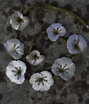 Geranio, collana in argento 925