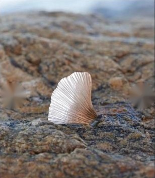 Gingko, anello in argento 925
